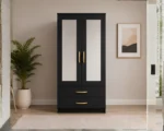 Luxury 2 Door Mirrored Wardrobe with Storage Drawers with Black colors - Premium Two Door Bedroom Wardrobe with 2 Drawers