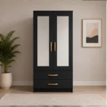 Luxury 2 Door Mirrored Wardrobe with Storage Drawers with Black colors - Premium Two Door Bedroom Wardrobe with 2 Drawers